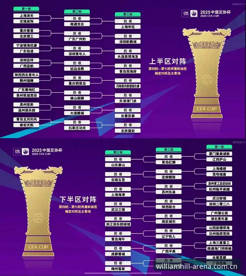 威廉希尔怎么投注 2030年世界杯扩军至66队深度评测:足球盛宴的包容性与中国机遇全面分析